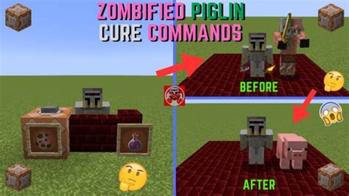 Is there any command to return a zombified piglin to piglin?