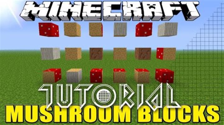 Is there any use to mushroom blocks in Minecraft JE?