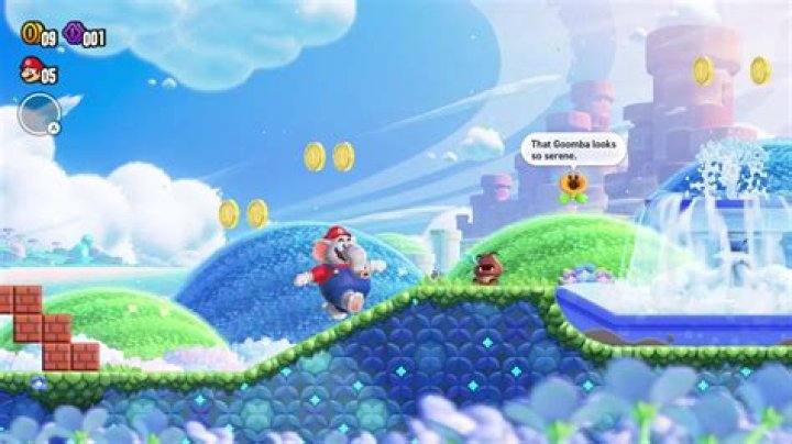 Is there really an endless water world in Super Mario Bros.?