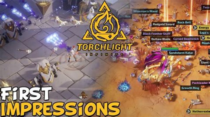 Is Torchlight a Multiplayer game?