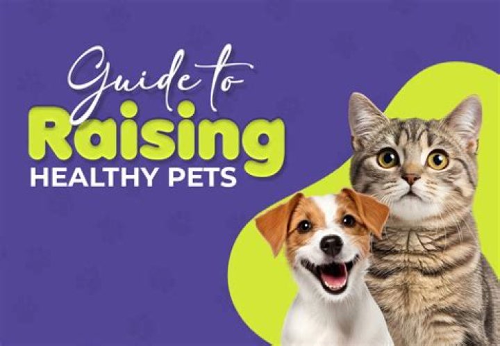 Is walking faster than running for raising pets?