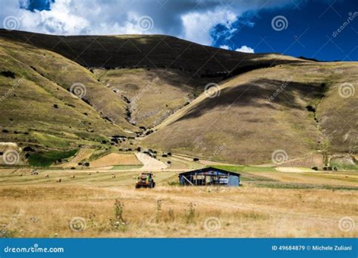 Isolated Shack