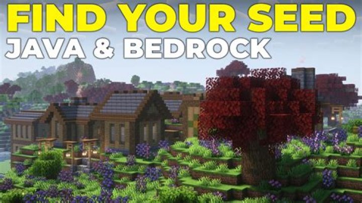 Java seeds on bedrock
