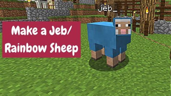 jeb_ sheep