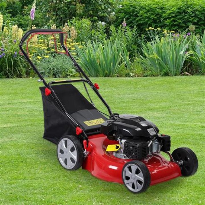 lawnmower in kitchen
