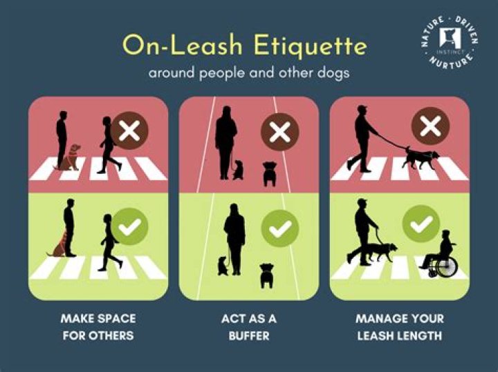 Leashing etiquette