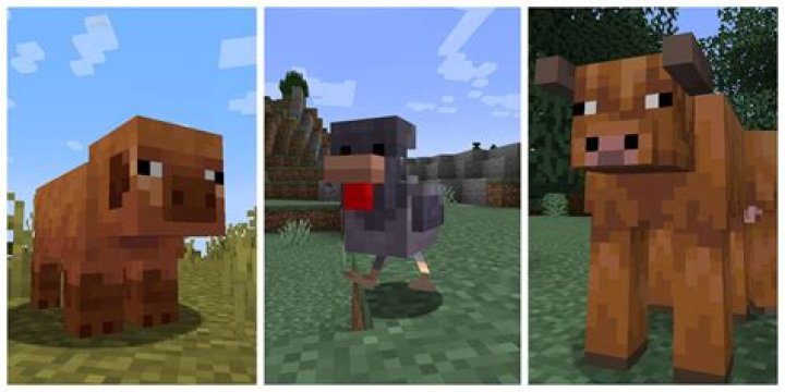 Making three specific mobs ride each other in Minecraft?