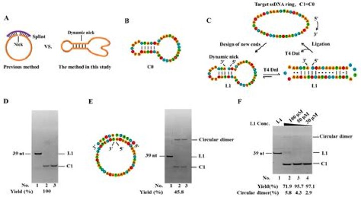 manual circularization
