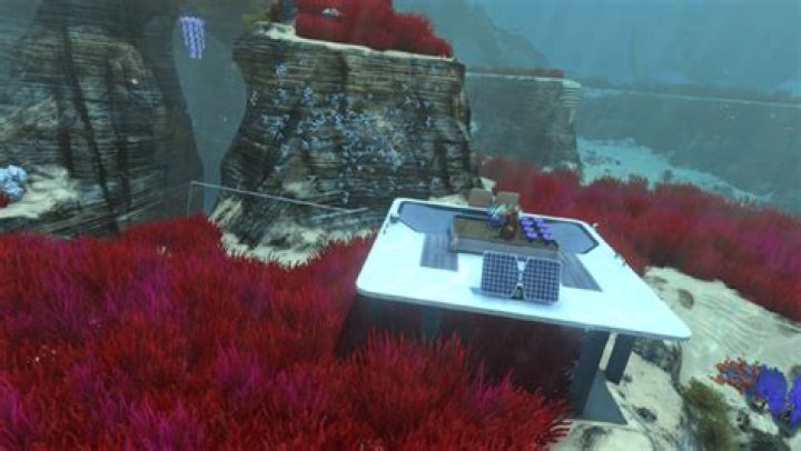 Maximum Storage for Survivor Bases