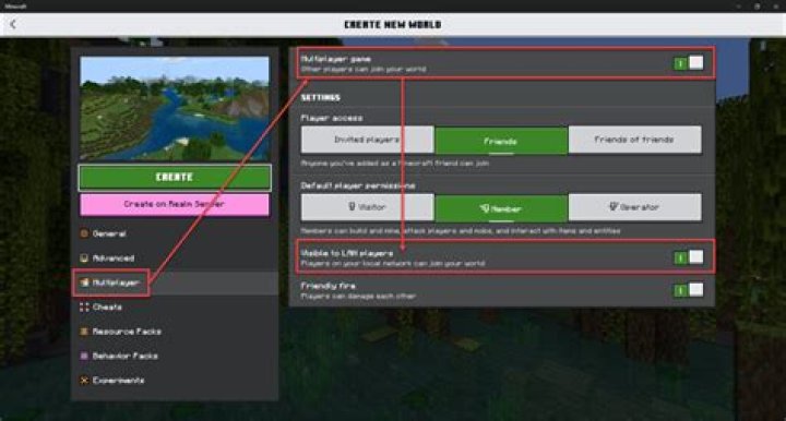 Minecraft 1.16.4 LAN game: two players with one account