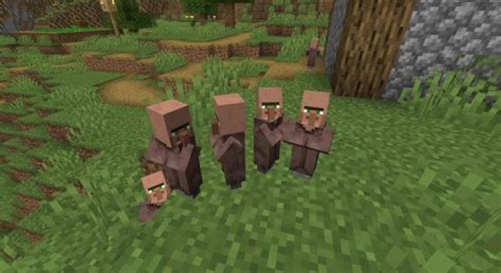 Multiple of one villager?