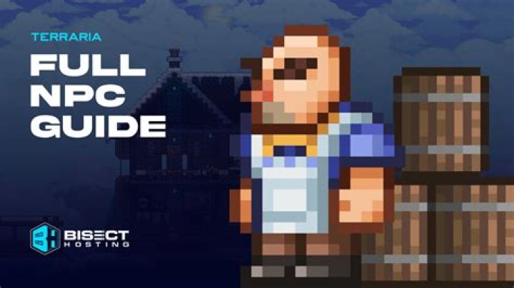 My guide NPC isn't spawning [duplicate]