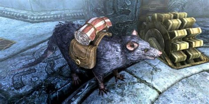 My kids never ask to keep a pet in skyrim