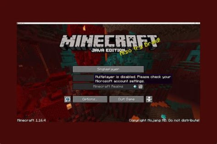 My Minecraft Servers won't show up- Not Multiplayer or Singleplayer