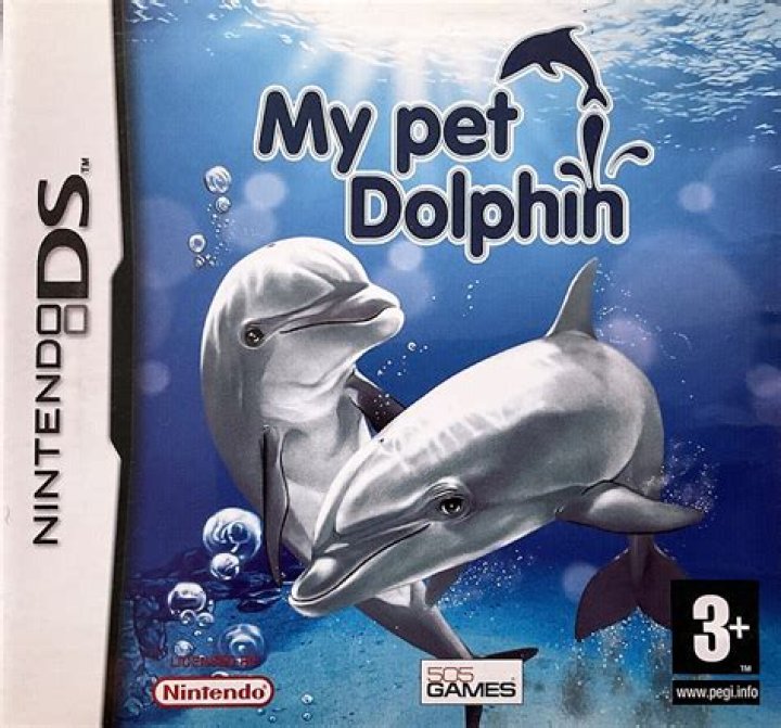 My pet dolphin has vanished
