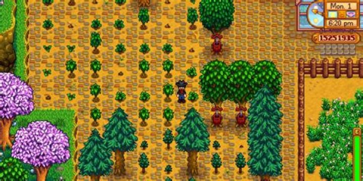 My Tree Farm