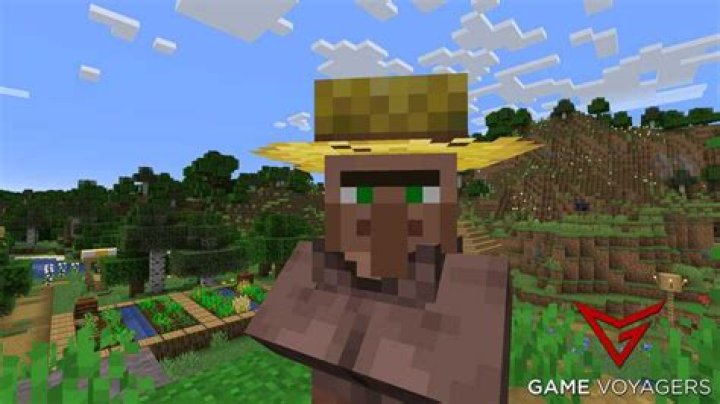 My villager his trade is not locked but I can't do the trade [closed]