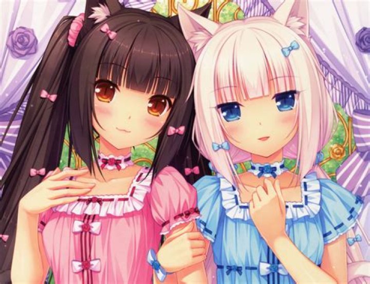 Neko