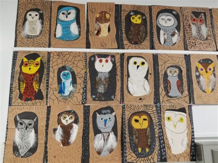 owl room Z-block