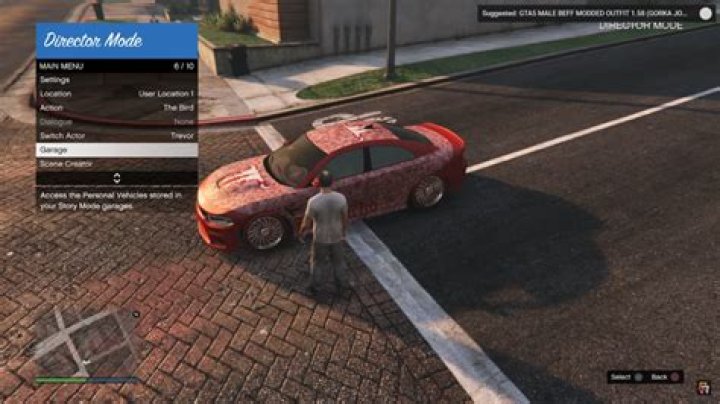Pause Menu Director Mode