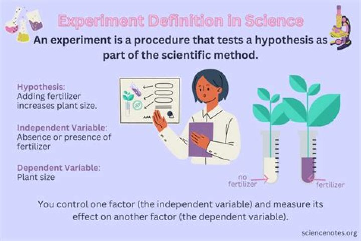 Picture of Experiment