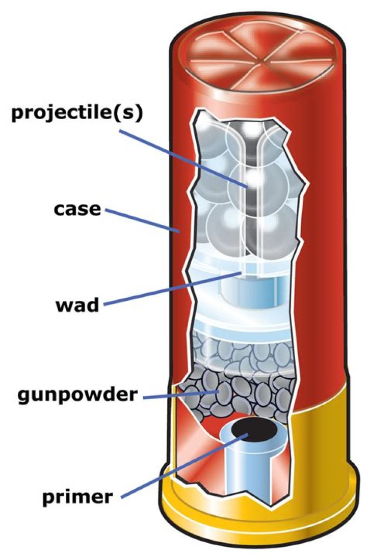 Picture of inside of cartridge