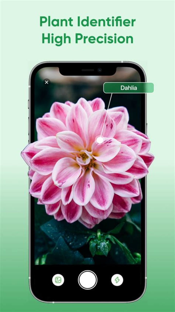 plant screenshot