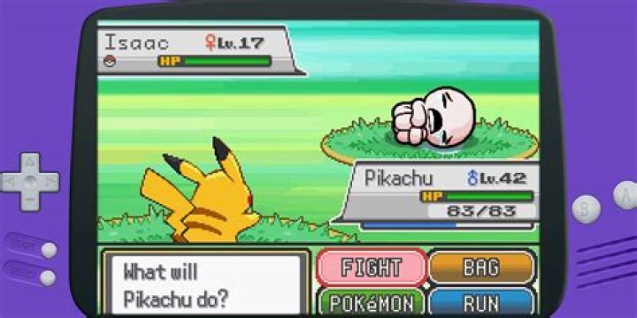Pokemon battle screen