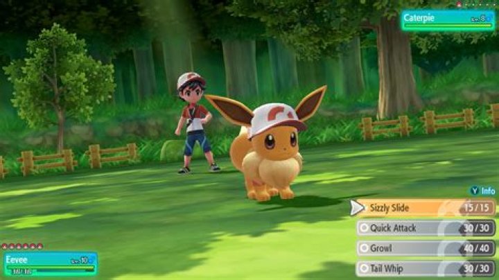 Pokemon fight screenshot