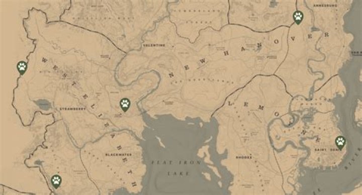 RDR2 Trapper Map
