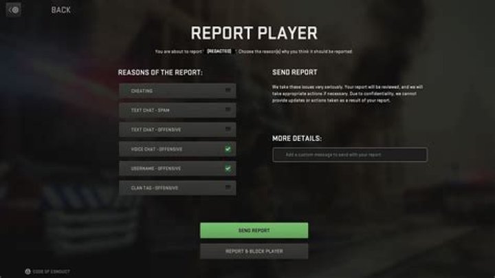 Report Player Window