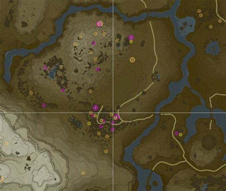 Satori Mountain and Dalite Forest
