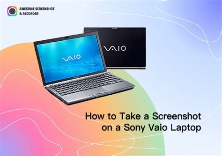 screenshot of image described above