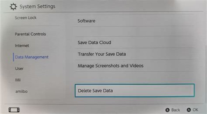 Screenshot of Save Data Delete Screen