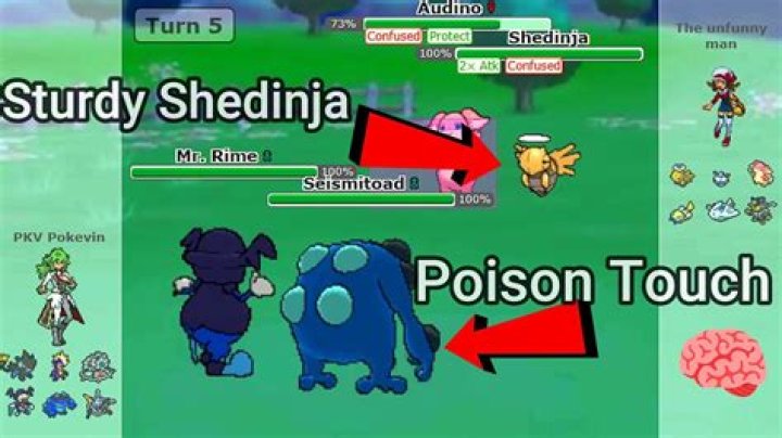 Setting up Sturdy Shedinja