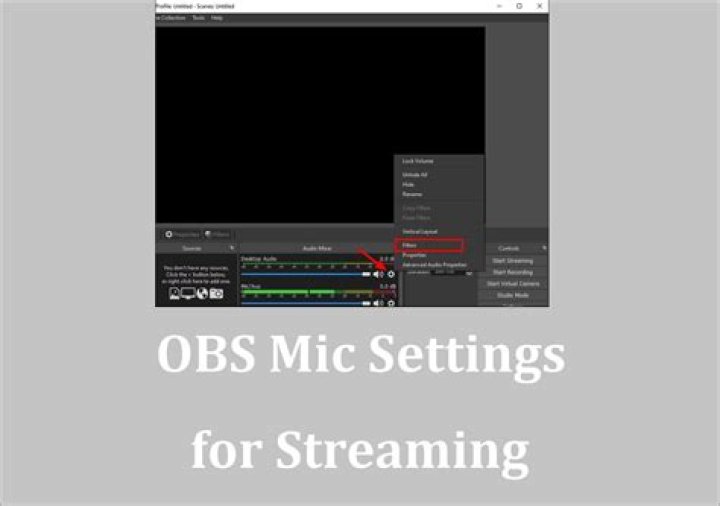 Settings for Mic
