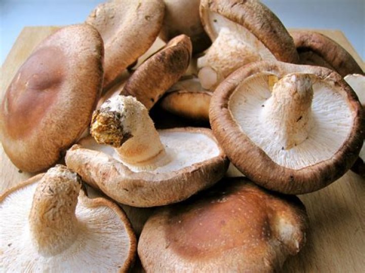 shiitake mushrooms