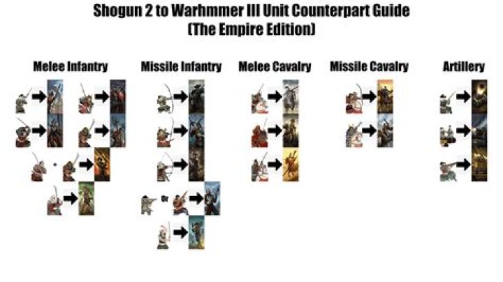 Shogun 2: Total War - I have suddenly lost the option to use large unit sizes