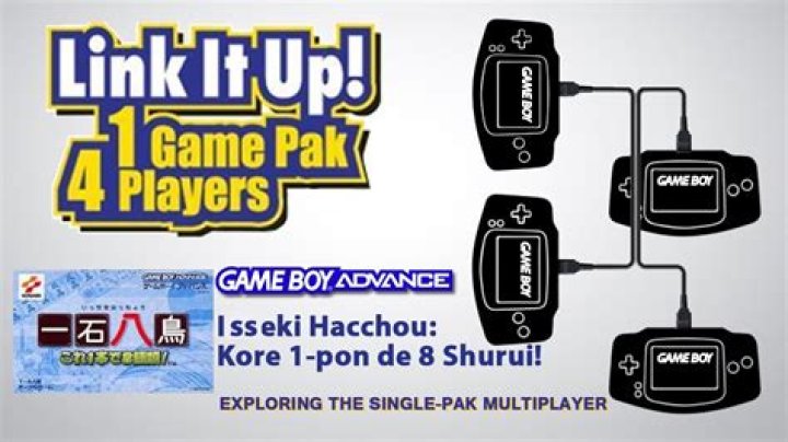 Single-Pak Link Logo