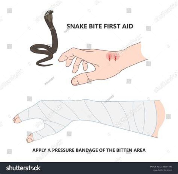 Snake bitten stranger