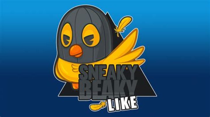 Sneaky Beaky