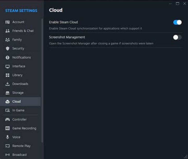Steam Cloud settings image