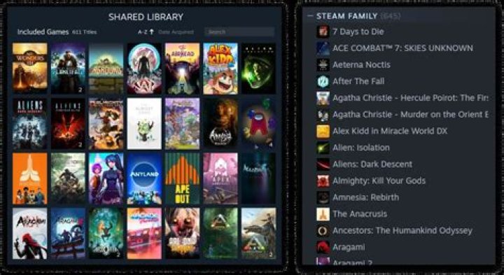Steam Family sharing - Overlapping shared libraries