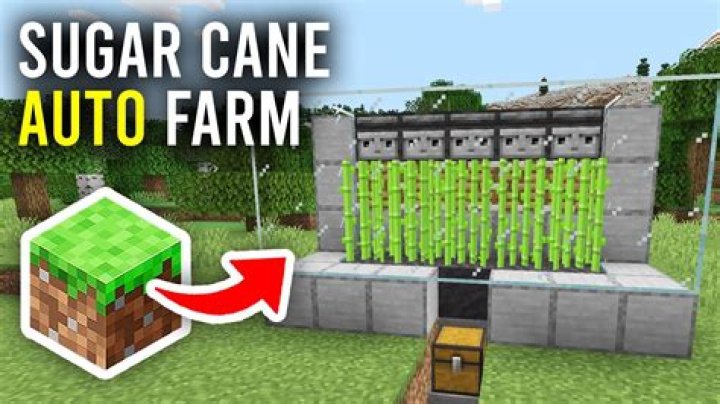 Sugar cane farm with auto moving collecting cart
