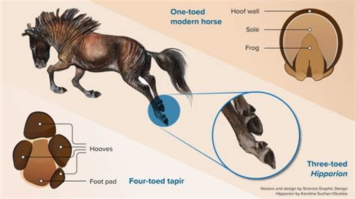Summoning a horse that has dyed horse armor [duplicate]