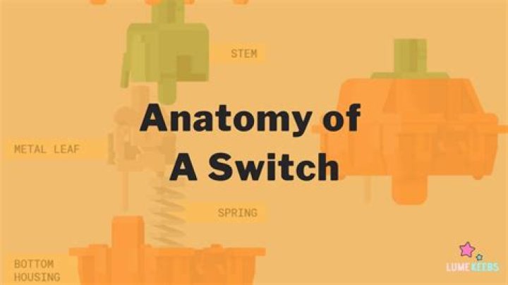 Switch Anatomy