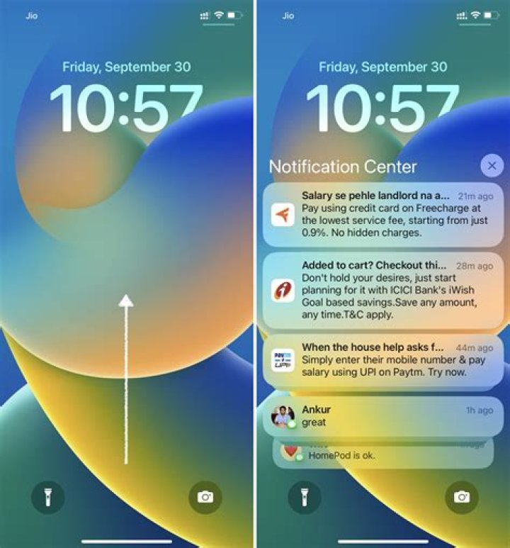 The notification...