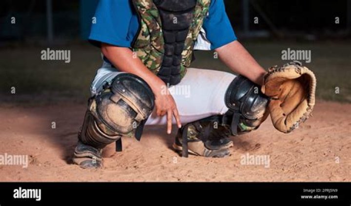 The player / catcher, marked with "hit errors"