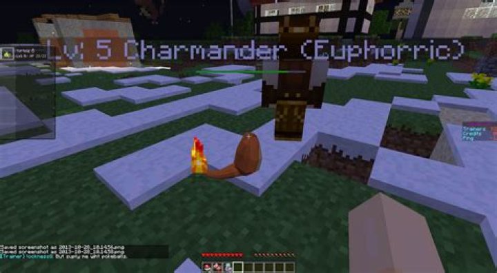welp; This is what Charmander Looks like.
