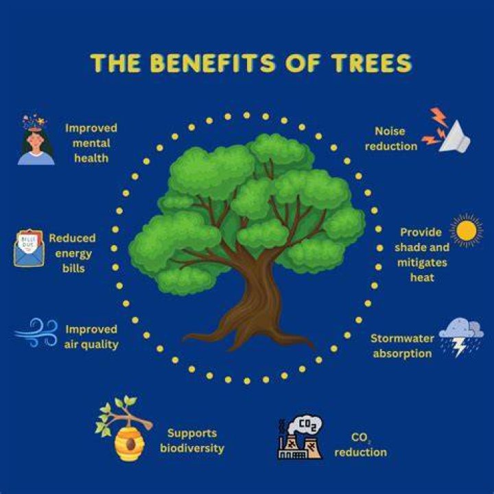 What are the benefits of planting woods with a builder?